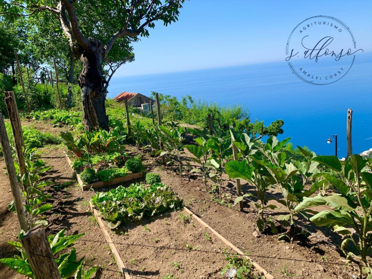 Country House Sant Alfonso Furore Exterior foto